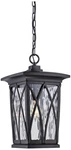 Quoizel Grover 17 1/2"H Mystic Black Outdoor Hanging Light. Fixed Price $360.99.