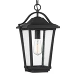 Quoizel DRS1911 Black Darius Single Light 11"W Outdoor Pendant. Fixed Price $329.99.