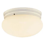 Trans Globe Lighting 3620WH Dellwood White 2-LIGHT Flush Mount Ceiling Fixture. Fixed Price $40.00.